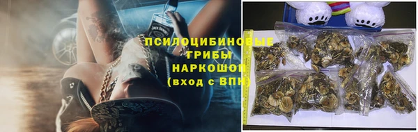 гидропоника Армянск