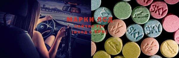 гидропоника Аркадак