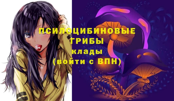 мяу мяу мука Арсеньев