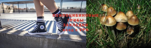 гидропоника Армянск