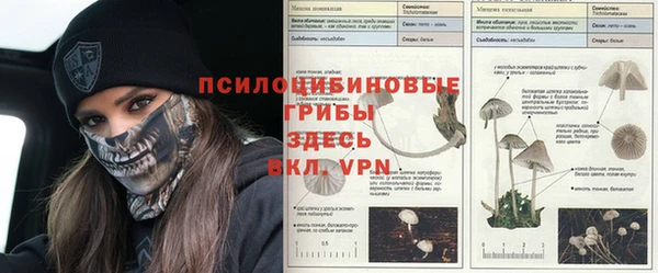мяу мяу мука Арсеньев